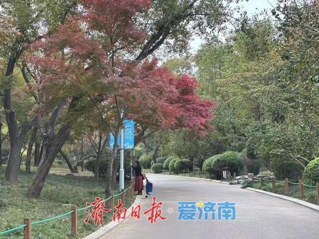 快来打卡公园景区秋色图鉴