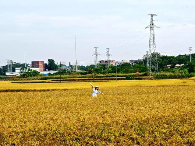 在美丽南方，赴一场诗意画卷~