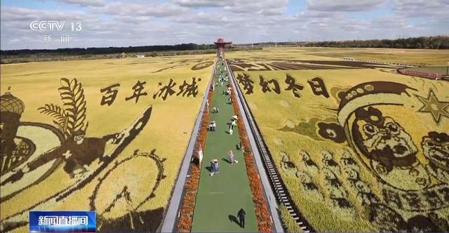 淄博→尔滨→天水 “网红城市”“火爆出圈”后如何“四季长红”?