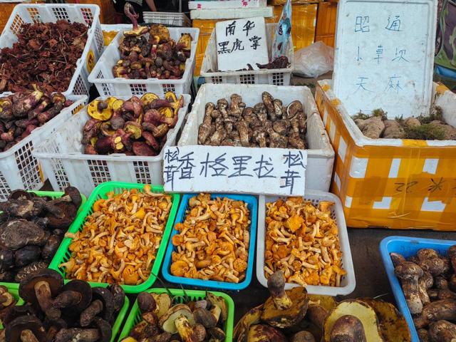 在清凉和菌香中，感受“有一种叫云南的生活”