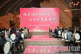 湖北夷陵：“楚商回乡·共建支点”叙乡情争项目，冲刺“开门红”图片