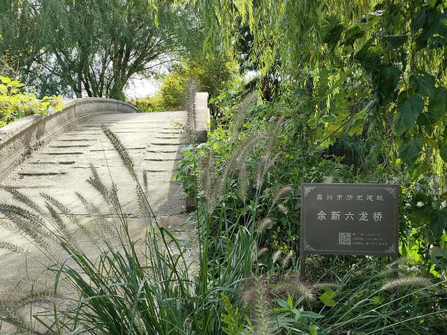 南湖村show｜禅定普光