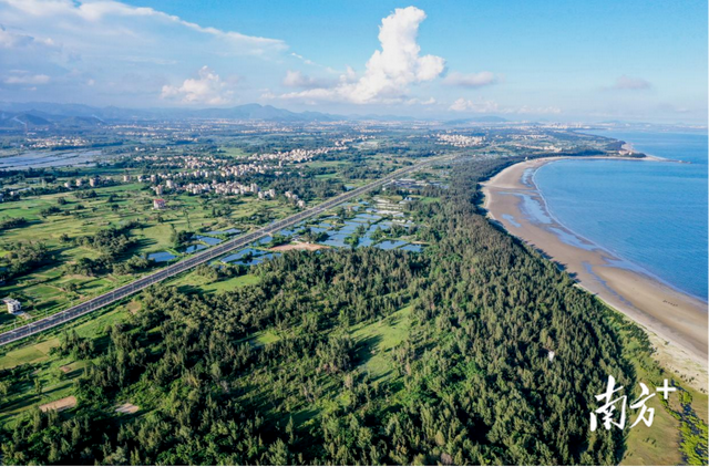 从古村落到黄金海岸，茂名滨海新区释放文旅新活力