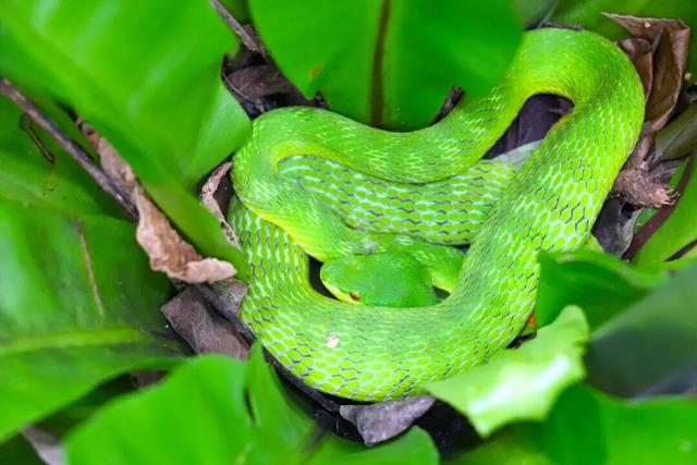 欢迎来到疯狂动物城·罗湖分城