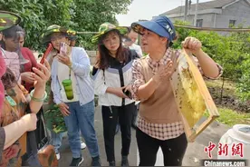 （乡村行看振兴）湖南桃江“蜜蜂姐姐”：靠诚信发家 带村民致富图片
