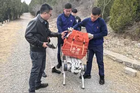“AI员工”上岗森林消防，爬山健步如飞，能听懂三语指令图片