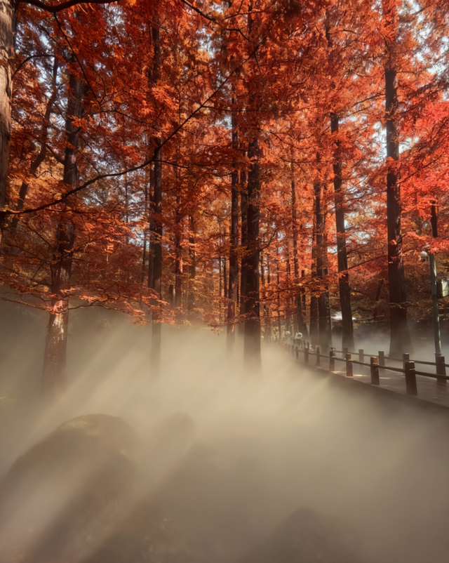 绝美！北京秋季颜值已达巅峰！这样定格最美秋天！