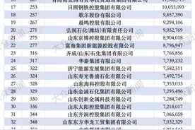 风信子｜55家鲁企上榜中国500强，从中能看出什么？图片