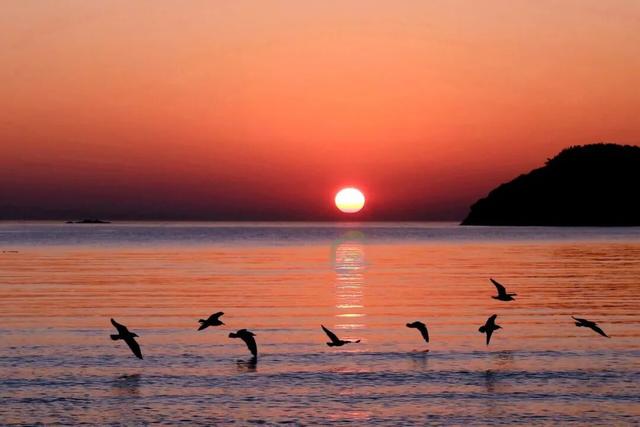 赴新岁之约，威海文旅“跨年大餐”来了！