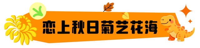 终于定了！2025南宁首届菊艺花海恐龙节来啦！