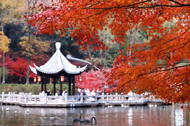 看这里！2025栖霞山跨年保姆级攻略｜「白+黑」玩法一篇就够！