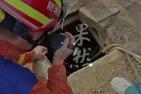 果然视频|老人不慎踩空坠至地窖被困，众人合力悬绳施救图片
