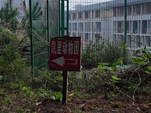 票价20元！最“寒酸”动物园火了！仅有一位七旬安徽宿州老人管理