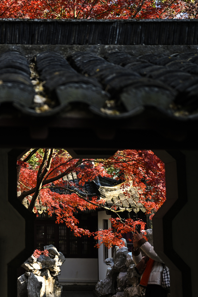 美翻了！南湖，正是红橙黄绿时