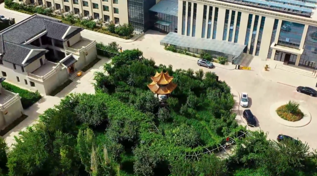 敦煌：冬春造林跑出“加速度” 为文化旅游名城建设注入强劲动能