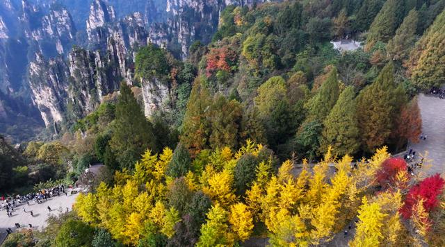 湖南张家界：色彩斑斓天子山