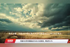 中国2024年对美国出口5246.56亿美元，同比升4.9%视频封面