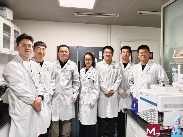 攻克“卡脖子”难题！山大团队联合齐鲁医院成功研制世界首款无线压电微纳贴片