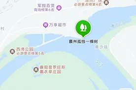 “襄州孤独一棵树”成网红打卡点，当地人：人越来越多，这棵树好像不再孤独图片