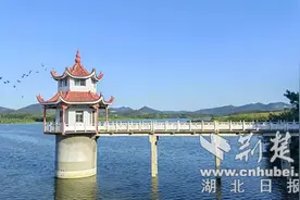 枣阳市水利局：从“四处”入手 加强河库管护图片