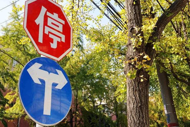 此时，闵行最美的地方就在……