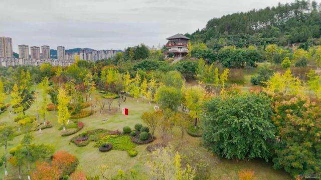 仪陇的秋天很美啊!