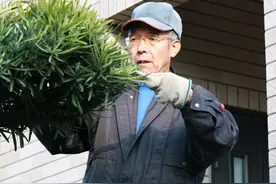 81岁新人！日本“银发就业族”获好评：比年轻人还优秀图片