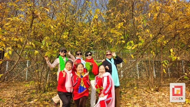 香气满园！自贡盐都植物园邀您赴一场冬日幽香之约