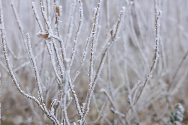 连云港下雪了！这件事要注意！