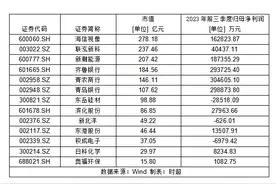 鲁股无实控人情况盘点：13家公司总市值超1500亿元，多数处于盈利中图片