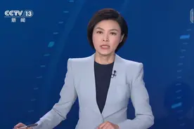 第55届巴黎航展·以色列抗议展台被封 法国总理回应：禁止展出攻击性武器图片