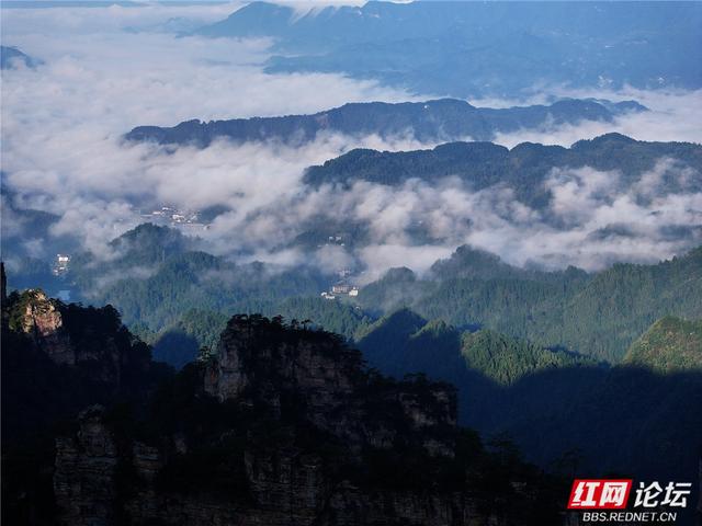 【每日一图@湖南】在杨家界的秋日云海里，遇见最灵动的中国画