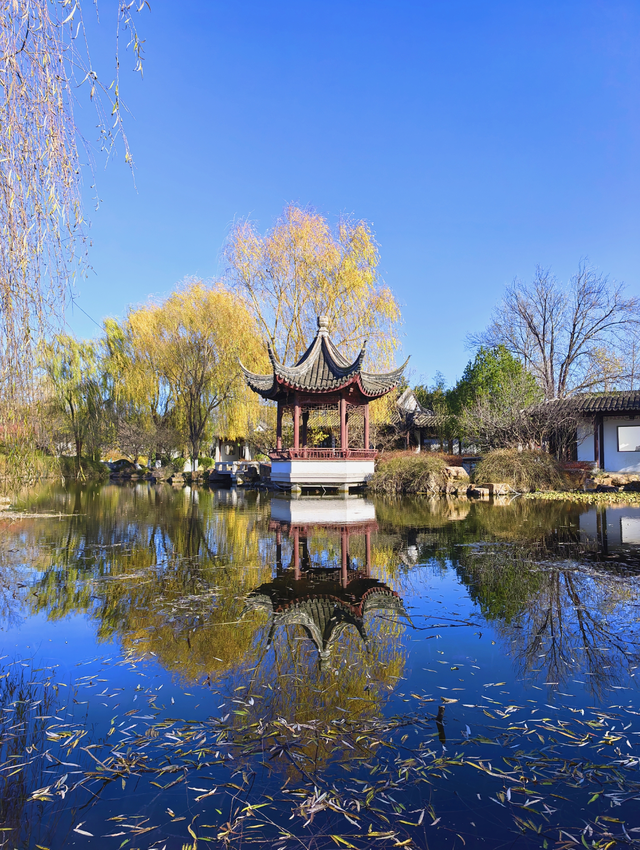 园博园初冬，赴一场静美之约