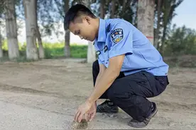 温宿公安：刺猬“遛马路”遇险情 民警暖心送“它”回家图片