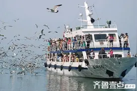 我的两次长岛老家之行图片