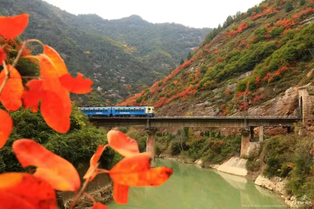 西坡镇：10月必推！最美红叶观赏地，满山红叶美得像油画！