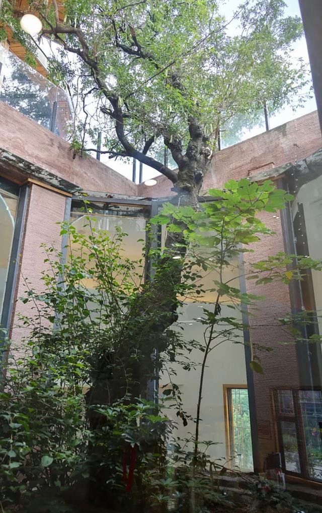 好物推荐 | 西昌这些宝藏书店，一定要去！