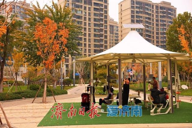 秋染彩林绘就正丰路公园五彩画卷