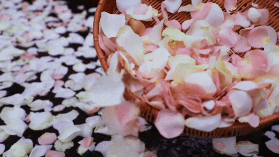 宠粉福利：送华为手机！快来高明过奇妙夜吧~