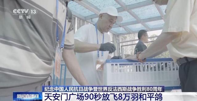 90秒放飞8万羽和平鸽 支持浪漫一幕的是背后的“硬核科技”