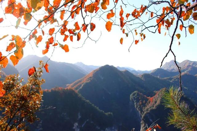 约好国庆游陕西丨陕南山水藏秋意 果香四溢等您来
