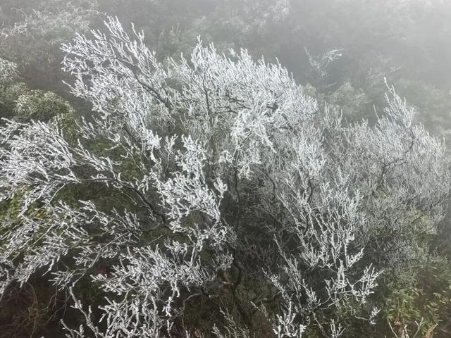 多地下雪！广西限定版“冰雪世界”已上线