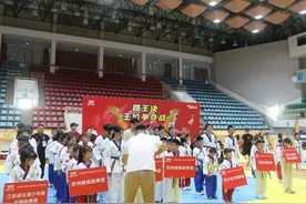 这一世界职业联赛，在崇明落下帷幕图片