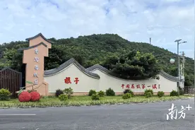 茂名党建：护航荔枝产业链 ，守护荔乡甜蜜图片