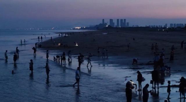 南海新区：夏夜清凉好去处 赶海烧烤舞不停