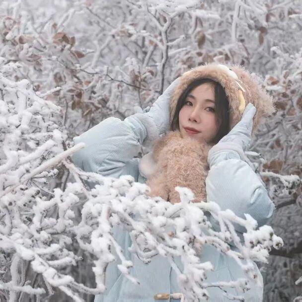 桂林永福惊现“玉树琼花”！雾凇限定美景，藏着冬日最治愈的魔法