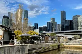 澳榄球协会:Rebels将缺席2025太平洋超级橄榄球赛季图片
