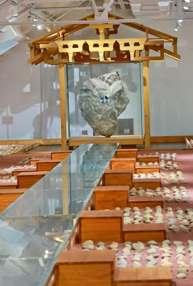 上海市中心惊现冬日“花海”！这片超火爆限时空间又焕新！明星也来打卡→