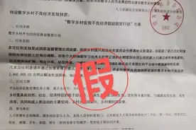 国家要发放乡村振兴扶贫补贴？警方紧急提醒！图片