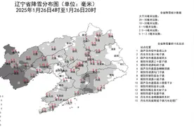 辽宁西部、东南部出现中雪，多地暴雪！图片